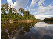 Amazon River gay cruise - Pacaya Samiria National Reserve