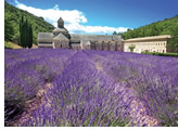 Burgundy and Provence All-Gay River Cruise 2013