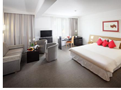 Prague - Novotel Praha Wenceslas Square