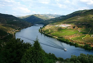 Exclusively gay Douro River Cruise
