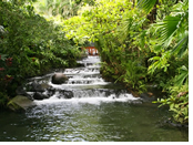 Costa Rica gay cruise - Tabacon Hot Springs
