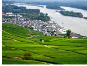 Rhine River gay cruise - Rdesheim
