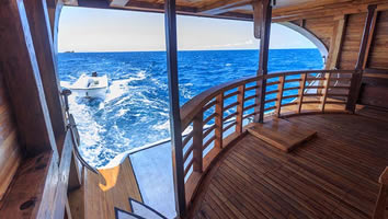 Flores gay cruise ship swim platform