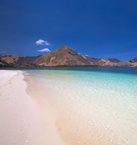 Flores gay sailing cruise