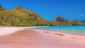 Flores gay cruise pink beach
