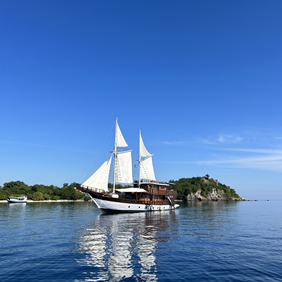 Gay Indonesia cruise