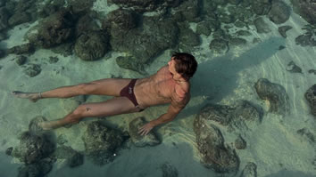 Indonesia gay holidays