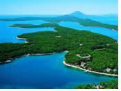 Exclusively Gay Croatia Cruise visiting Island of Losinj