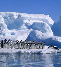 South America and Antarctica Gay group cruise