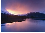 Gay group cruise visiting Dusky Sound, New Zealand