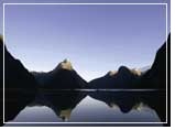 Gay group cruise visiting Milford Sound, New Zealand