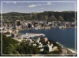 Gay group cruise visiting Dunedin, New Zealand