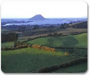 Australia and New Zealand Gay group cruise visiting Tauranga, New Zealand
