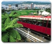 Australia and New Zealand Gay group cruise visiting Wellington, New Zealand