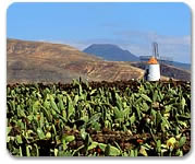 Canary Islands and Morocco gay group cruise visiting Lanzarote, Canaries
