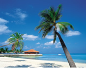 Ultimate Caribbean Gay Group cruise on Celebrity's Equinox