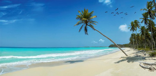 Ultimate Caribbean Gay Group Cruise