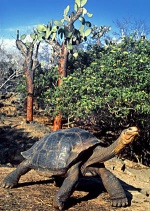 Galapagos Islands Gay Group cruise