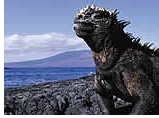 Galapagos Islands Gay Group cruise from Baltra