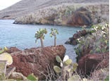 Galapagos Islands Gay group cruise visiting P. Baquerizo, San Cristobal