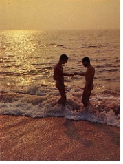 Hawaii Islands Gay Group Cruise on the Celebrity's Mercury