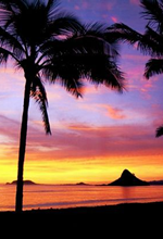Hawaii Gay group cruise