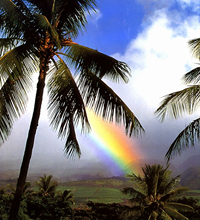 Hawaii Gay group cruise