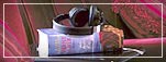 Celebrity's Infinity Words library