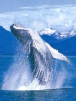 South America Gay group cruise
