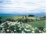 Gay group cruise visiting Puerto Montt, Chile