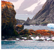 South America and Antarctica Gay group cruise visiting Elephant Island, Antarctica