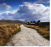 South America and Antarctica Gay group cruise visiting Port Stanley, Falkland Islands