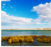 South America and Antarctica Gay group cruise visiting Puerto Madryn, Argentina