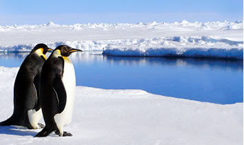 South America and Antarctica Gay Group Cruise
