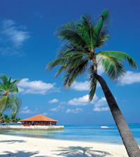 Southern Caribbean Gay group cruise