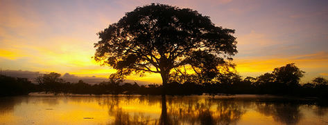 Romance Voyages Amazon Adventure Exclusively Gay Cruise