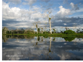 Romance Voyages Down the Amazon River exclusively gay cruise