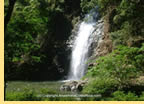 Exclusively gay Costa Rica cruise visiting National Reserve of Curu