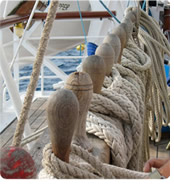 Exclusively gay Costa Rica cruise on Star Flyer