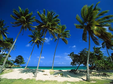 Source Events Epic Caribbean gay cruise