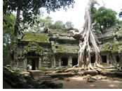 Cambodia gay cruise tour - Ta Prohm Temple