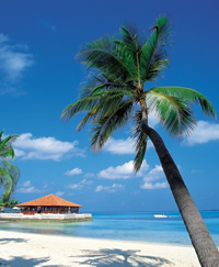 Windjammer Mandalay Caribbean Naked Gay Cruise