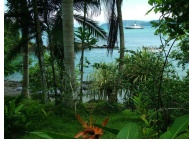 Clothing optional gay Costa Rica cruise