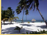 New Years Mayan Riviera All-Gay Cruise visiting Ambergris Caye