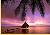 New Years Mayan Riviera All-Gay Cruise visiting Belize