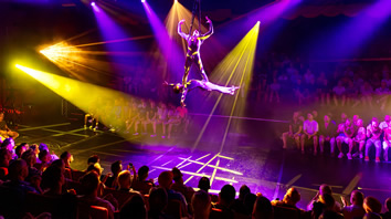 Virgin gay cruise show