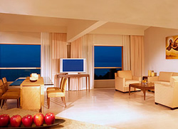 Exclusively gay Club Atlantis Vallarta at Vallarta Palace resort Presidential Suite