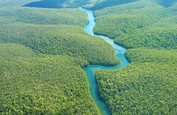 Amazon River Olivia lesbian cruise