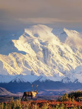 Denali Alaska All-lesbian tour