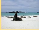 All-lesbian Galapagos cruise - Espanola